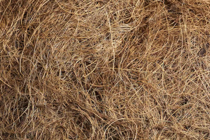 Fibra di cocco